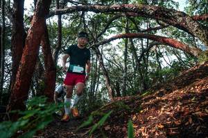 BIB: 
                            <button type="button" onclick="openModal(26344503)" class="btn btn-primary btn-sm float-right btn-popup" data-toggle="modal" data-target=".modal-high-quality">
                        <i class="fas fa-shopping-cart"></i> Add to Cart
                    </button>
                                            <button type="button" onclick="isThisMe(26344503, true)" class="btn btn-success btn-sm float-right btn-popup btn-isme hidden" data-toggle="tooltip" data-placement="bottom" title="นี่คือรูปของคุณใช่ไหม คลิกที่นี่เพื่อเอาเข้าอัลบั้ม">
                        <i class="fas fa-plus"></i> Add to album
                    </button>
                    <button type="button" onclick="isThisMe(26344503, false)" class="btn btn-warning btn-sm float-right btn-popup btn-isnotme hidden">
                        <i class="fas fa-ban"></i> Remove from album
                    </button>